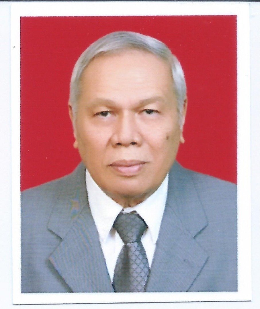 Dr Archianda Arsad SpDVE