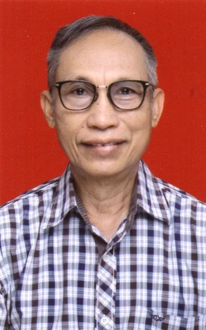 Dr Wayan Mudana Sp.DVE
